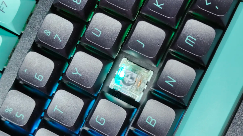 b7k8ngx62w3hwa9xgb6sx1lv1ksgy2322143.png