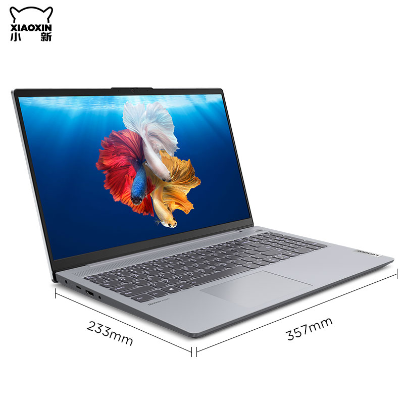 小新 15 2020英特尔酷睿i5 15.6英寸全面屏超轻薄笔记本电脑 银色图片