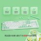 联想一键服务机械键盘K310 白色 青轴图片