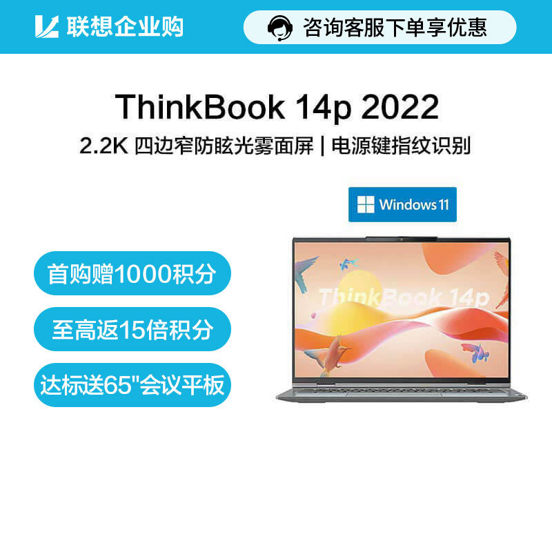 【企业购】ThinkBook 14p 2022 锐龙版 高性能创造本 01CD