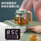 小熊养生壶0.8L YSH-C08T1图片