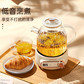 乐扣乐扣 多功能养生壶EJK3315WHT 1L-白色图片