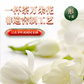 吴裕泰 茉莉花茶 春韵 礼盒装300g图片